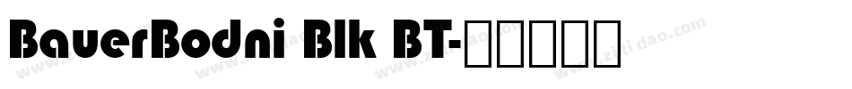 BauerBodni Blk BT字体转换